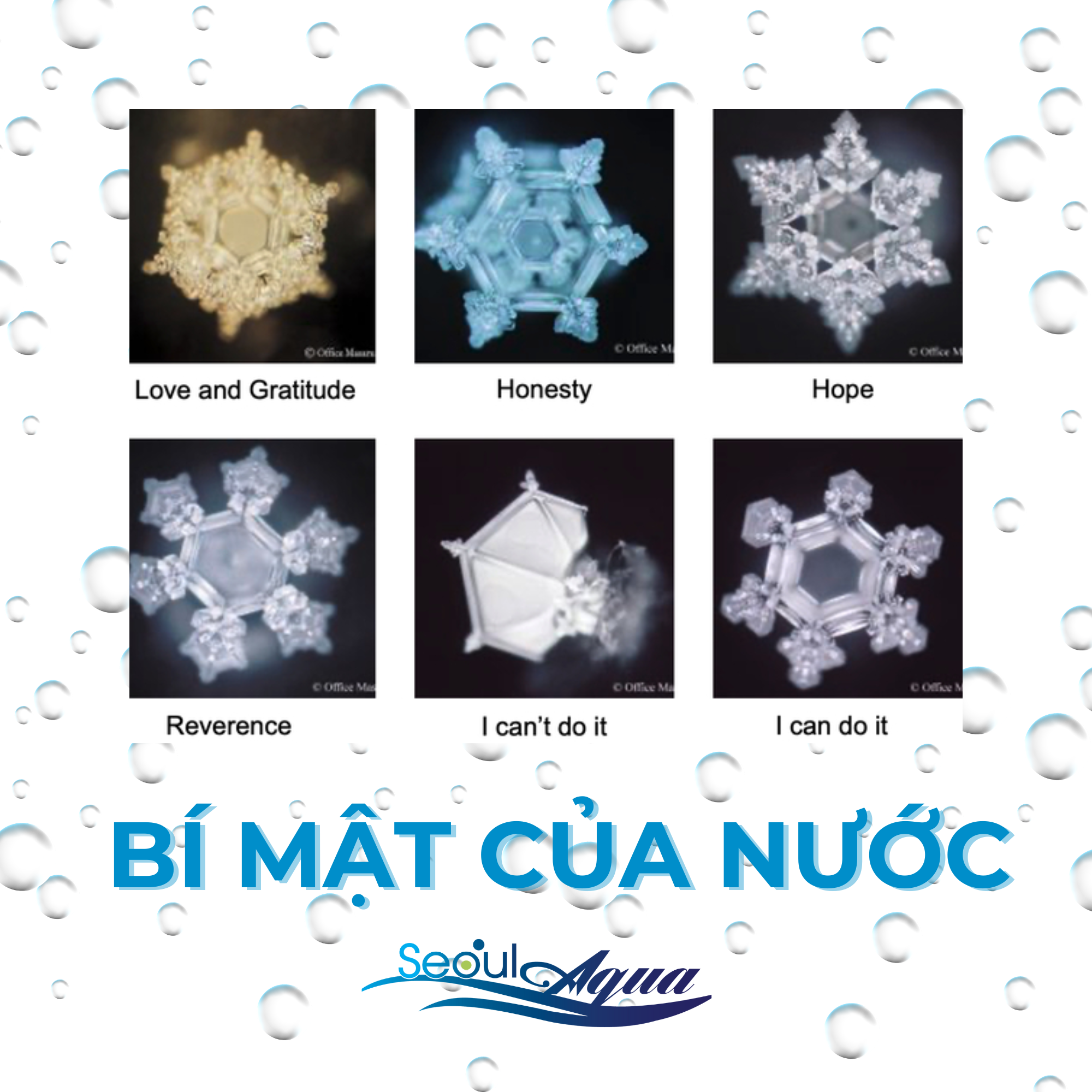 Bí mật của nước